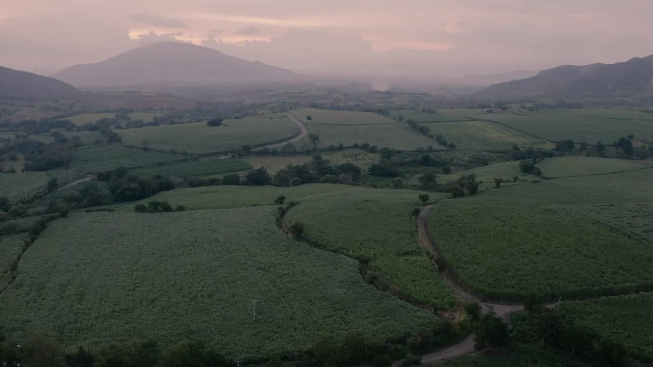 Stock Video Crop Fields At Sunrise Live Wallpaper For PC