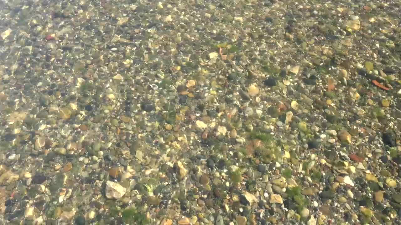 Stock Video Creek And Mossy Stones Live Wallpaper For PC