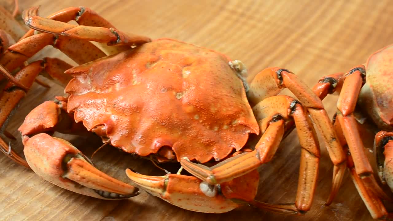 Stock Video Crabs On A Kitchen Table Live Wallpaper For PC