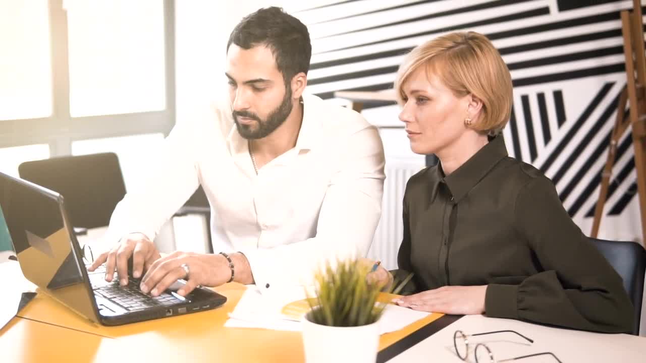 Stock Video Coworkers Working Together In The Office Live Wallpaper For PC