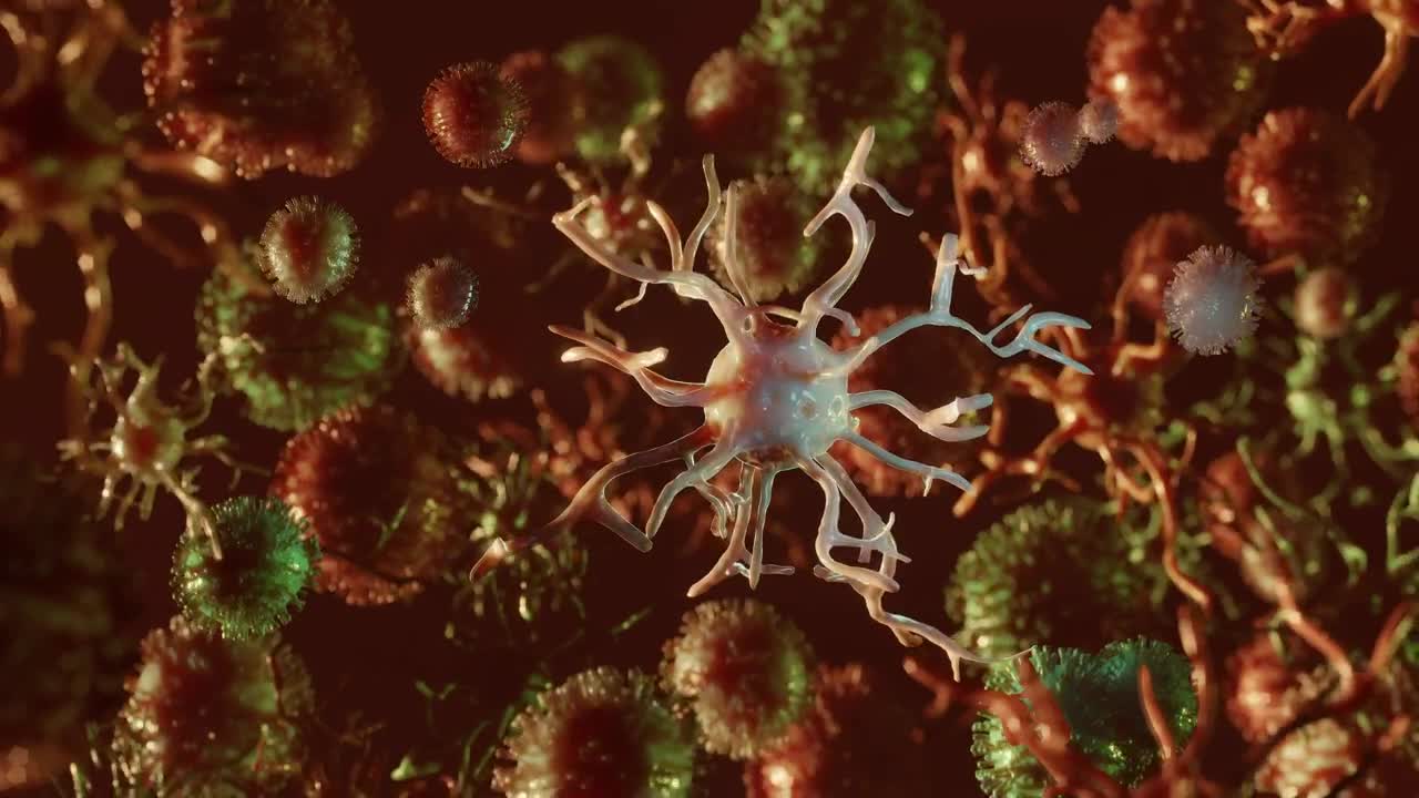 Stock Video Covid  Floating Microscopic Virus Animation Live Wallpaper For PC