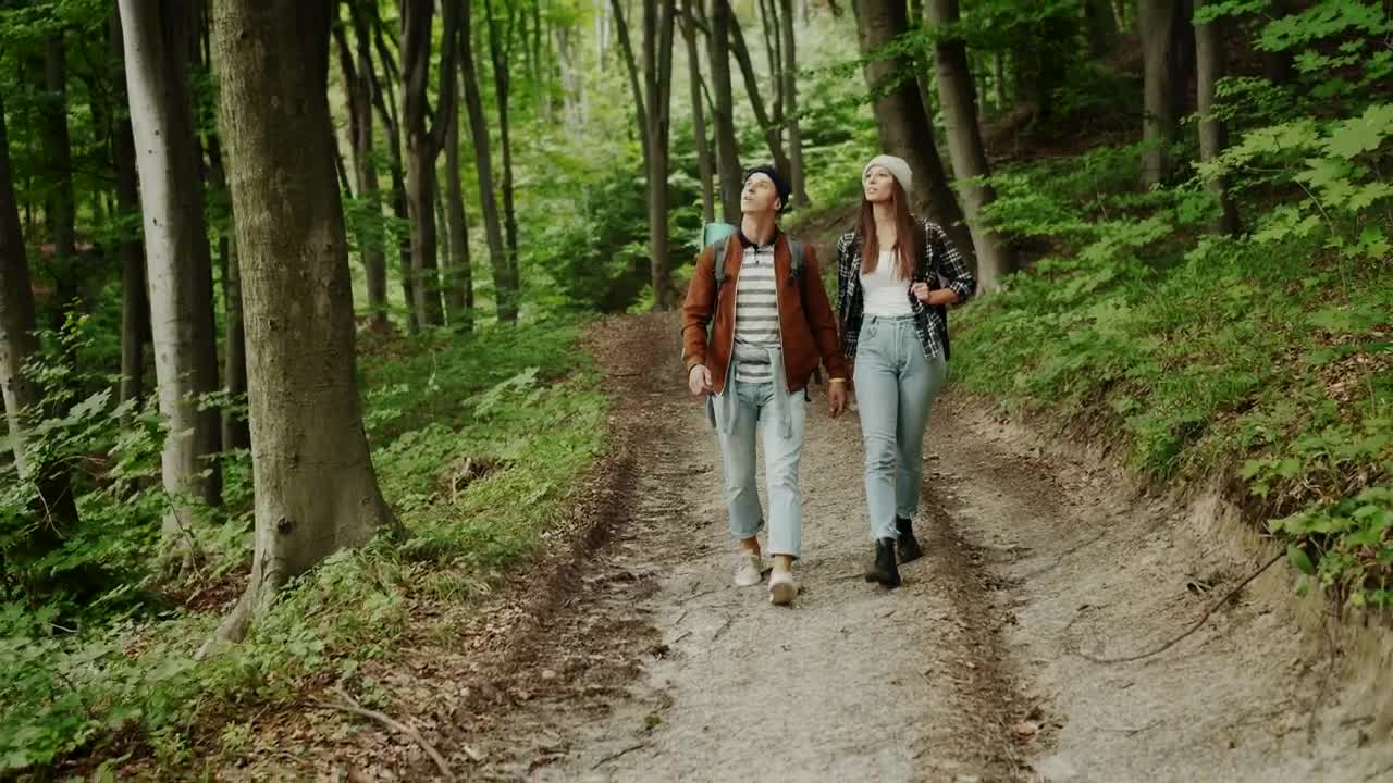 Stock Video Couple Walks Through The Woods Live Wallpaper For PC