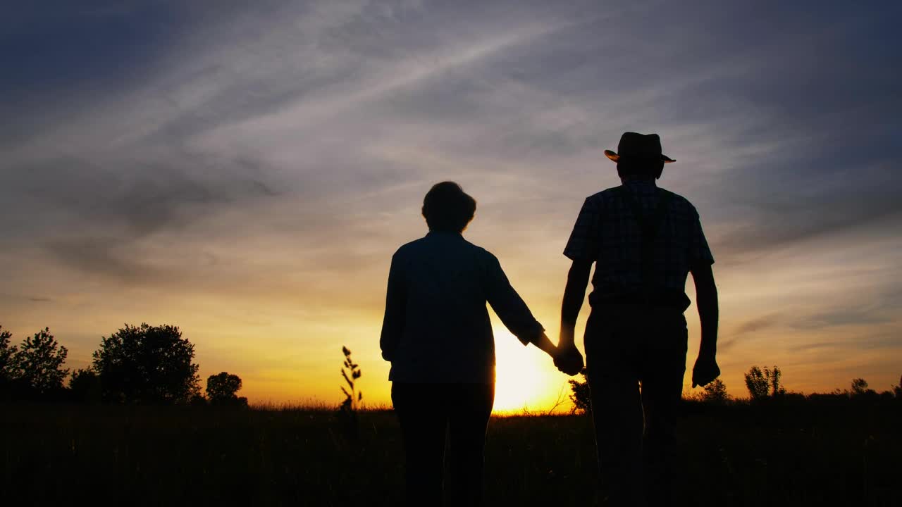 Stock Video Couple Walking Through A Meadow At Sunset Live Wallpaper For PC