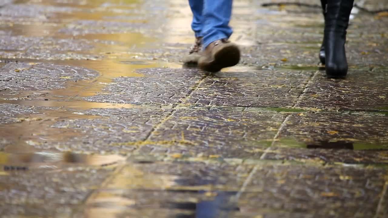 Stock Video Couple Walking On A Rainy Day Live Wallpaper For PC