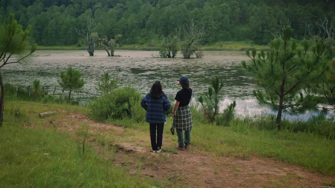 Stock Video Couple Taking A Selfie At A Lake In Nature Live Wallpaper For PC