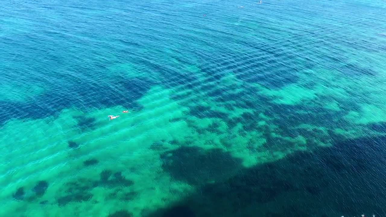 Stock Video Couple Swimming In A Clear Sea Live Wallpaper For PC