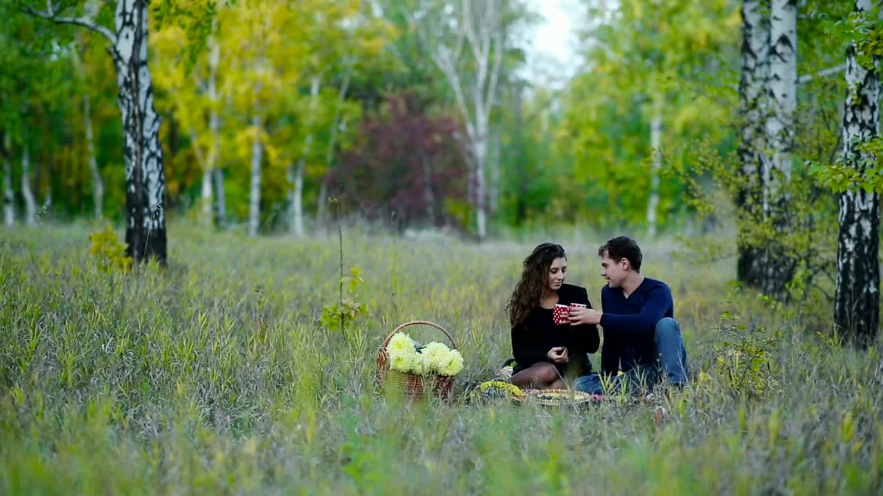Stock Video Couple On A Picnic In The Middle Of Nature Live Wallpaper For PC