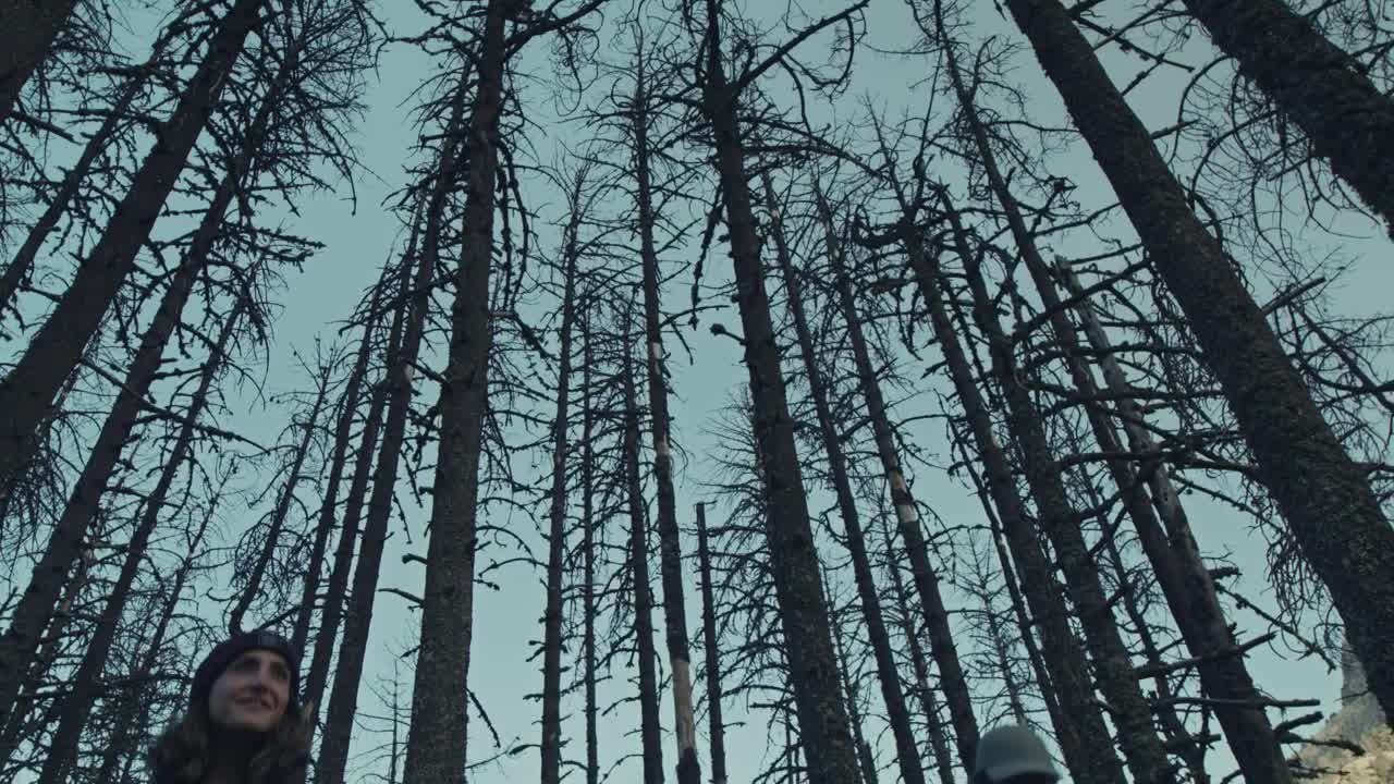 Stock Video Couple Of Hikers Admiring The Landscape Live Wallpaper For PC