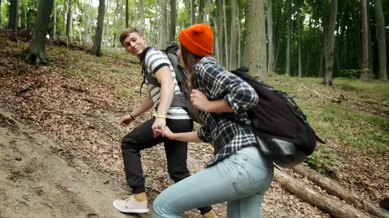 Stock Video Couple Of Explorers Walking Through A Forest Live Wallpaper For PC