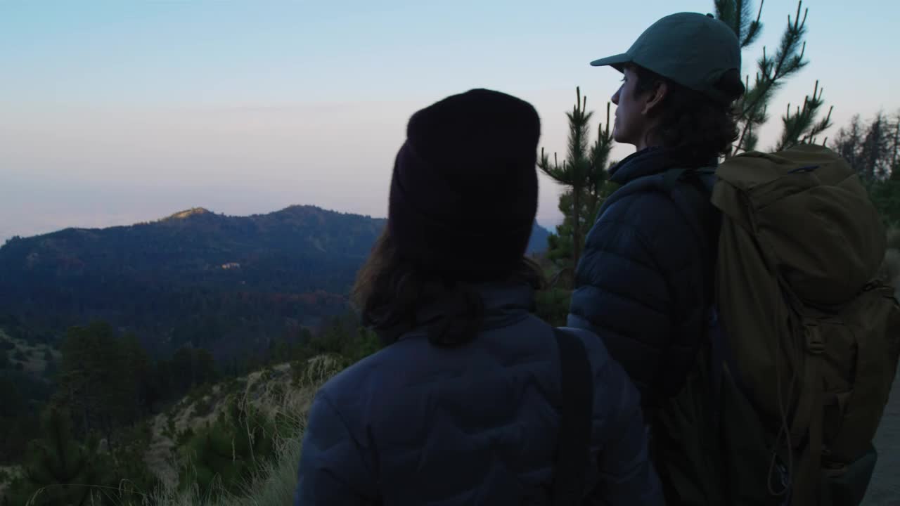 Stock Video Couple Looking At A Landscape In Nature Live Wallpaper For PC