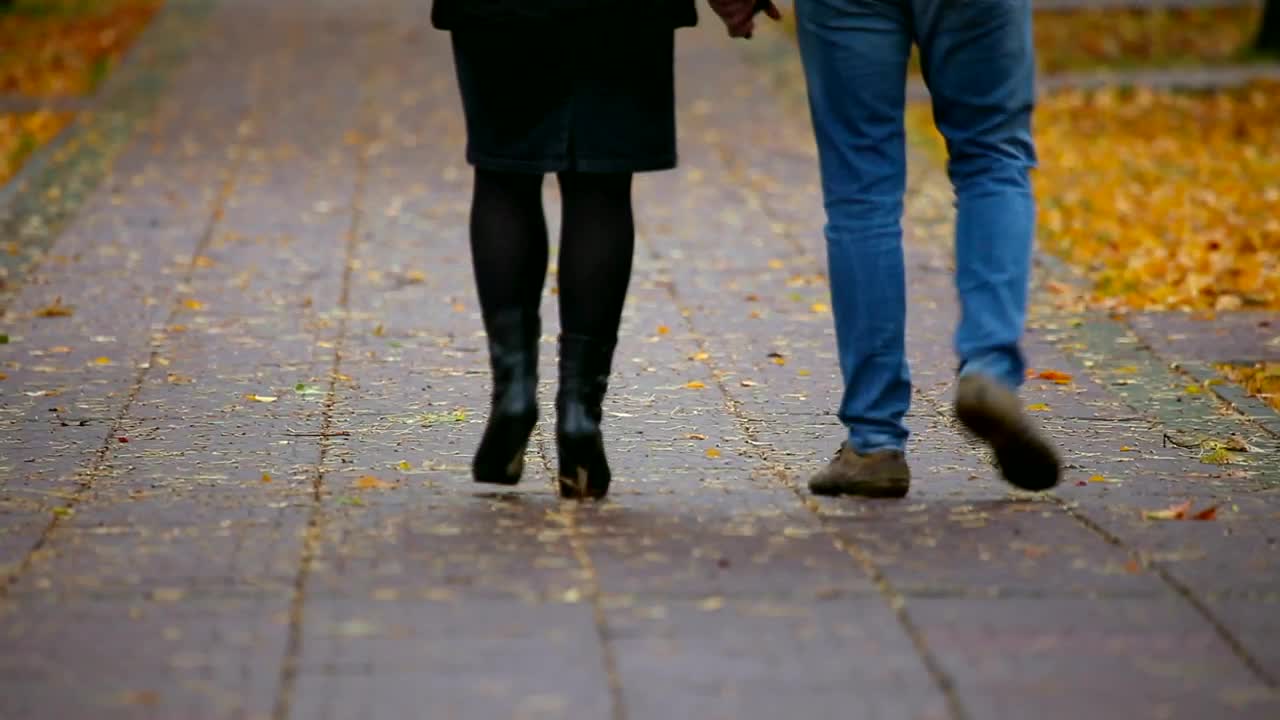 Stock Video Couple Holding Hands Walking In The Park Live Wallpaper For PC