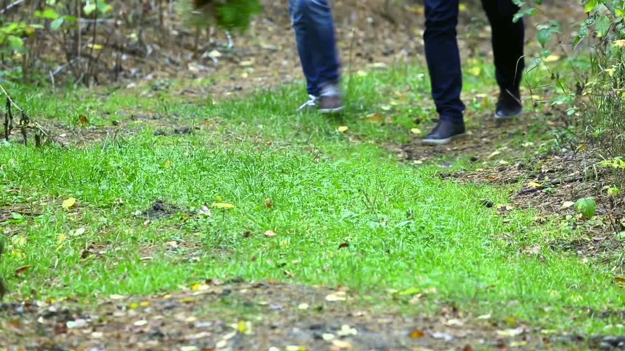 Stock Video Couple Holding Hands Walking In The Forest Live Wallpaper For PC