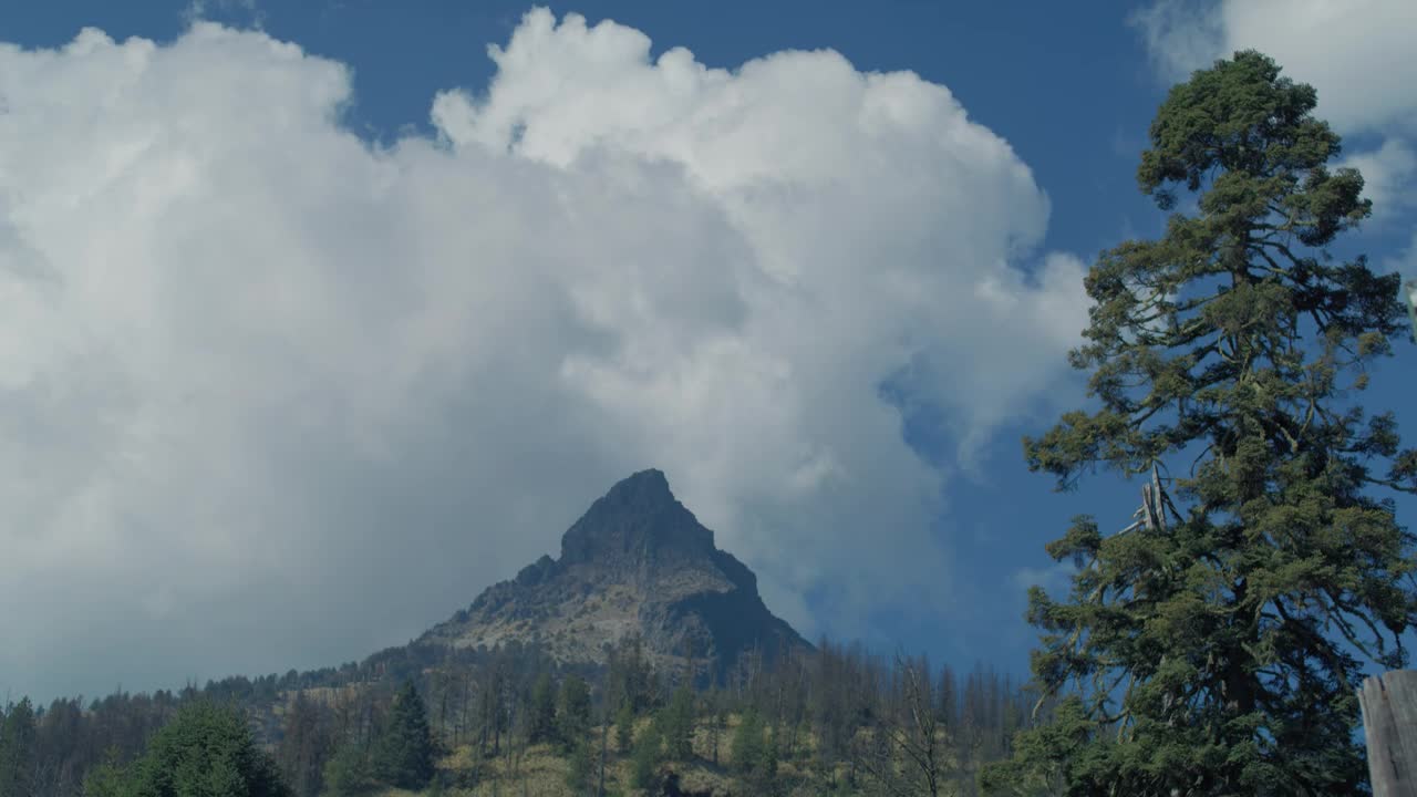 Stock Video Couple Having Breakfast In The Forest Live Wallpaper For PC