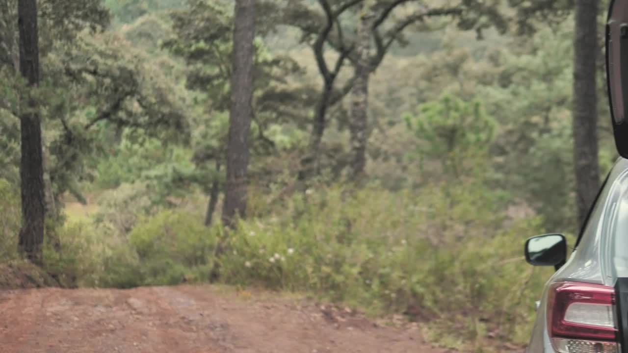 Stock Video Couple Filling The Trunk And Leaving The Woods Live Wallpaper For PC