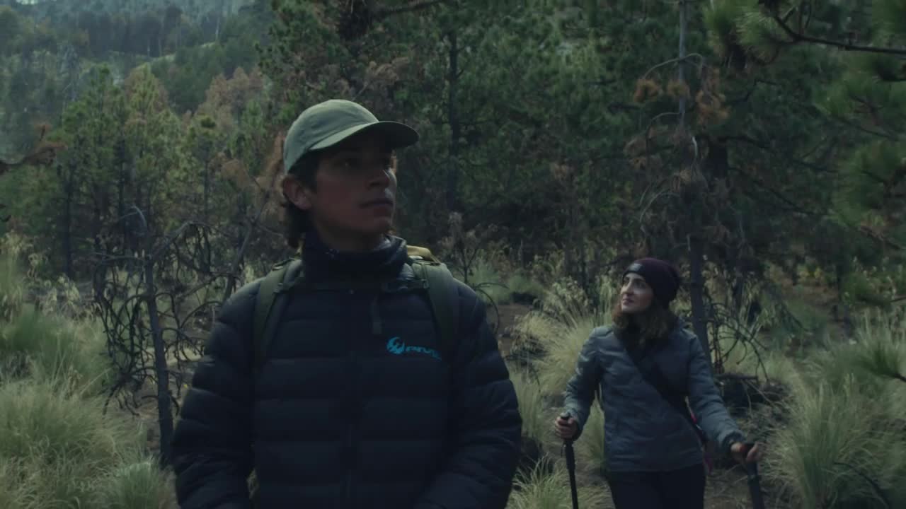 Stock Video Couple Exploring A Forest Live Wallpaper For PC