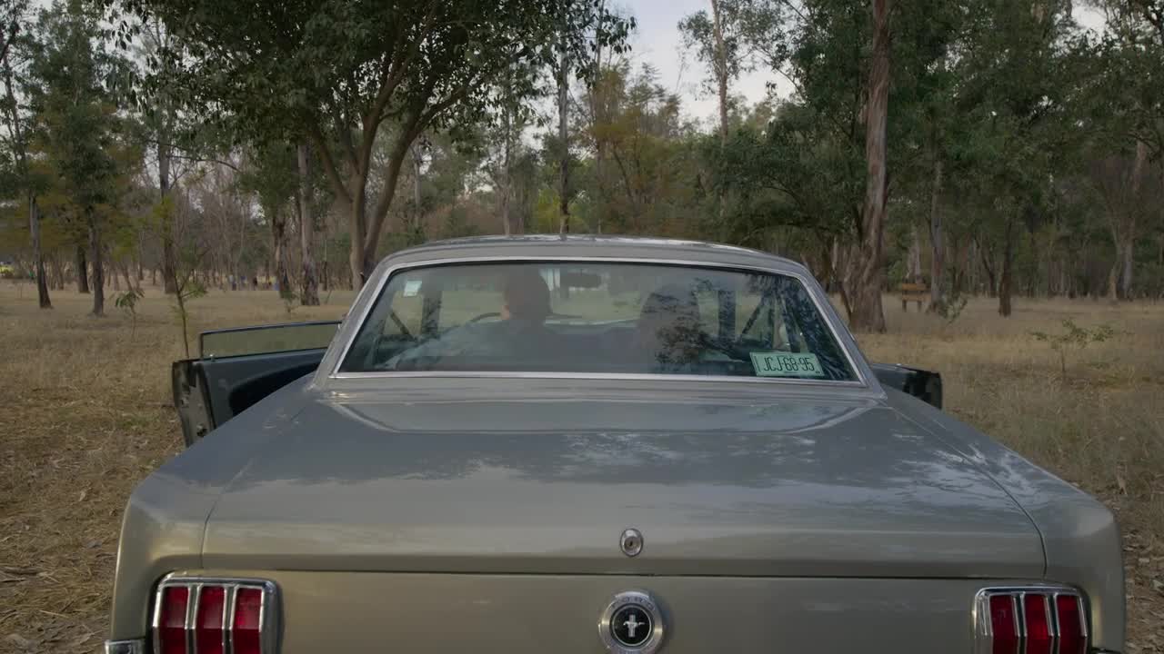 Stock Video Couple Appreciating A Forest On A Road Trip Live Wallpaper For PC