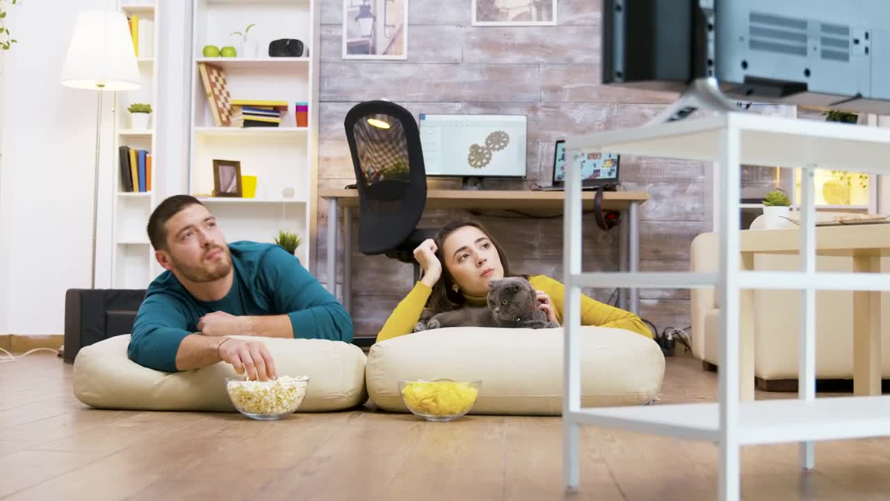 Stock Video Couple And Their Cat Watching Tv Live Wallpaper For PC