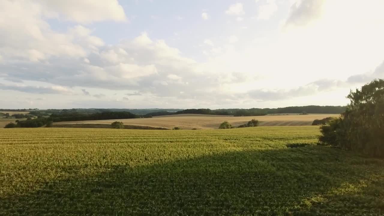 Stock Video Countryside Sunshine Live Wallpaper For PC