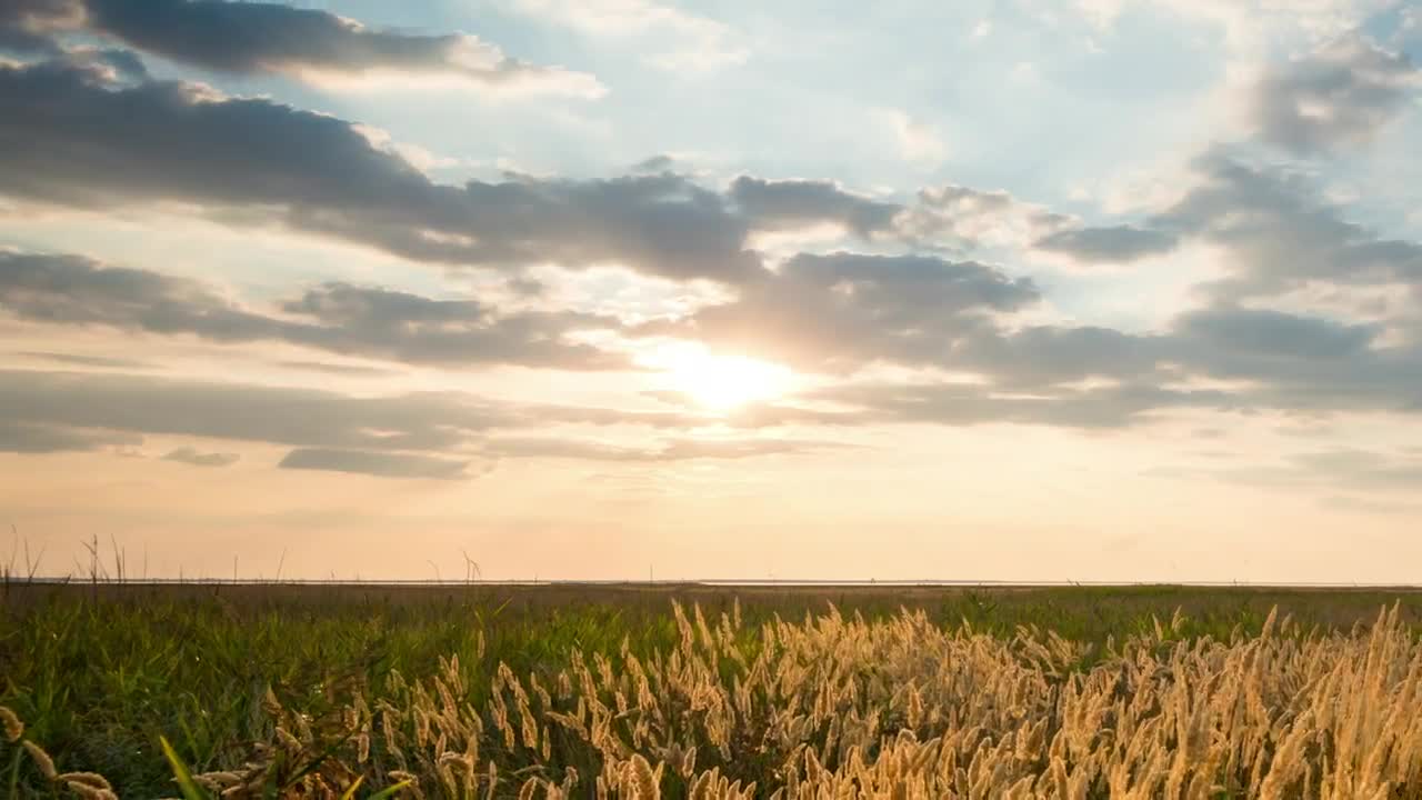 Stock Video Countryside Field At Sunset Time Lapse Live Wallpaper For PC