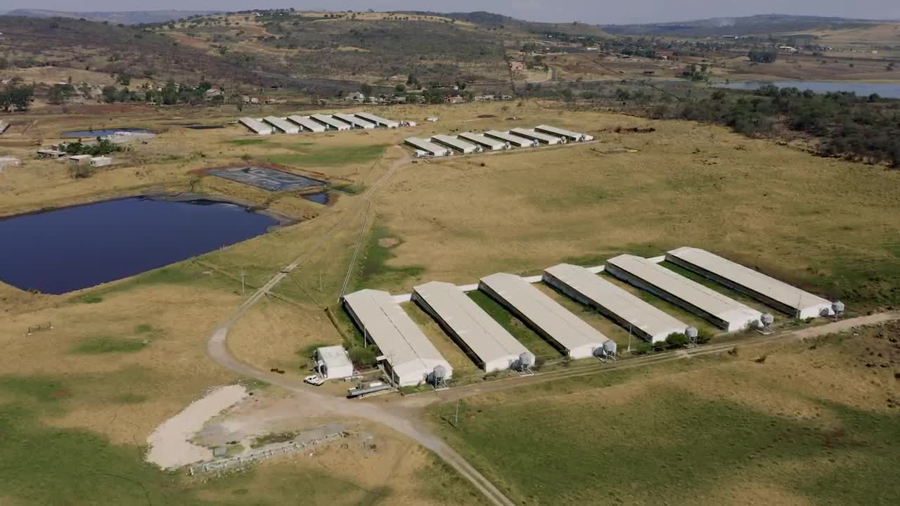 Stock Video Countryside Farm With Nursery Gardens Live Wallpaper For PC