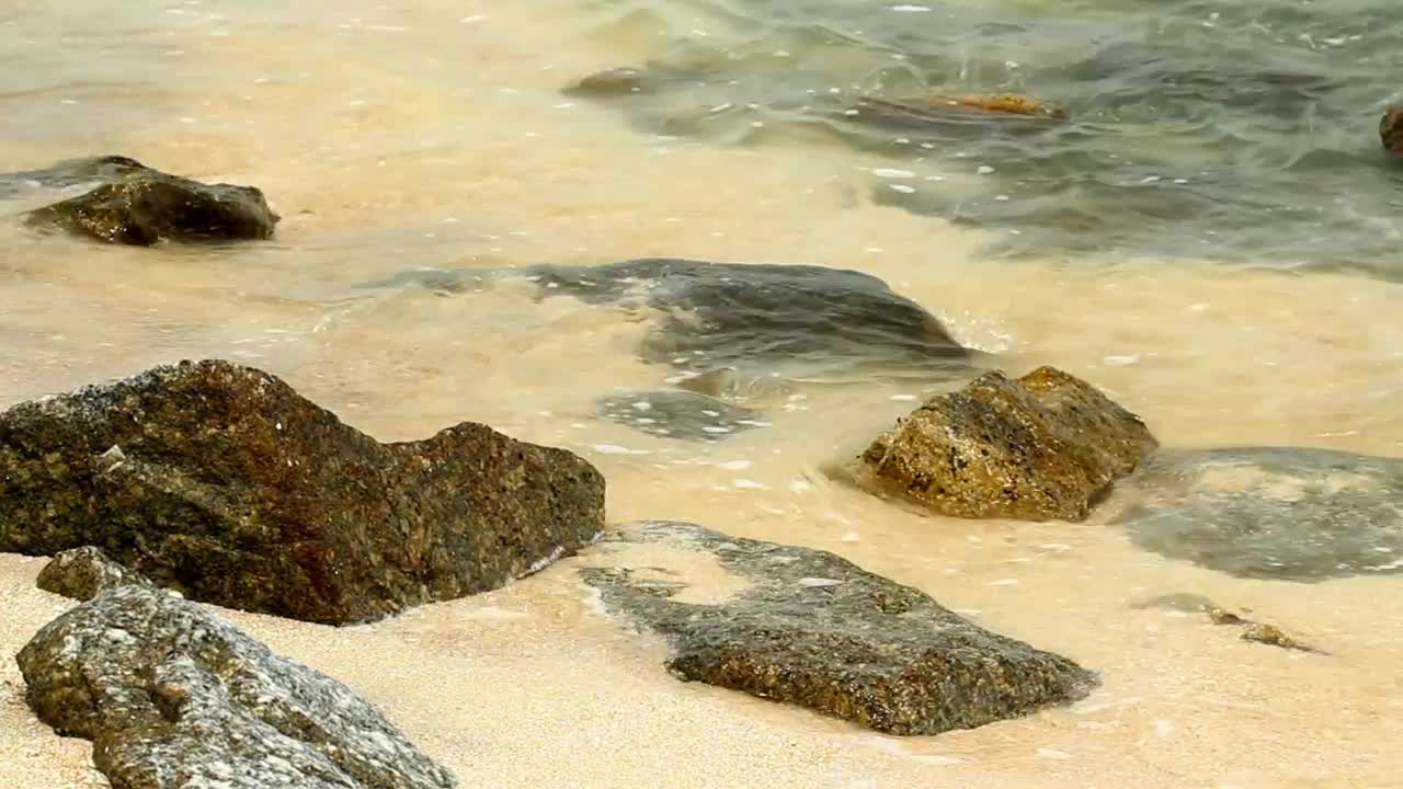 Stock Video Cool Waves On A Hot Day Live Wallpaper For PC