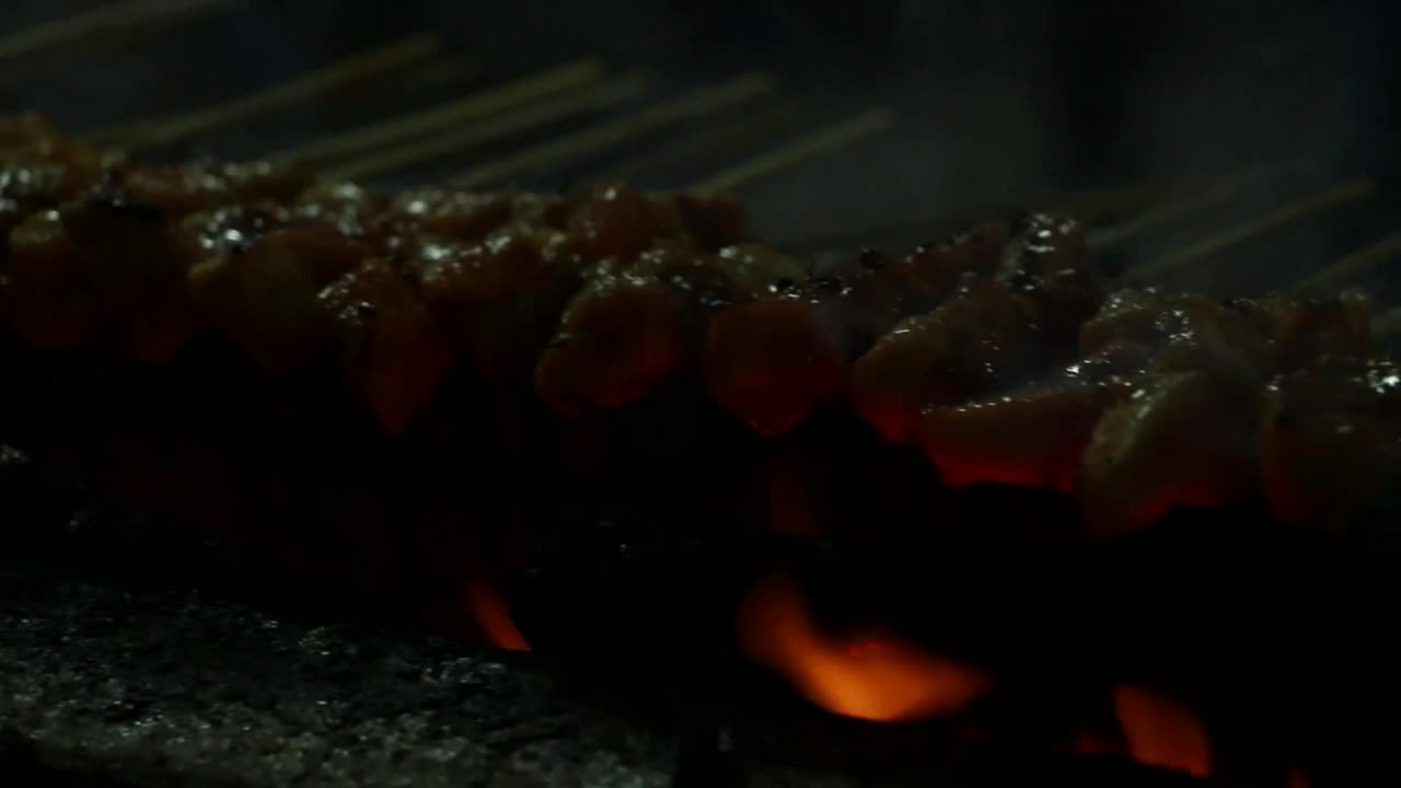 Stock Video Cooking Meat Outside Live Wallpaper For PC