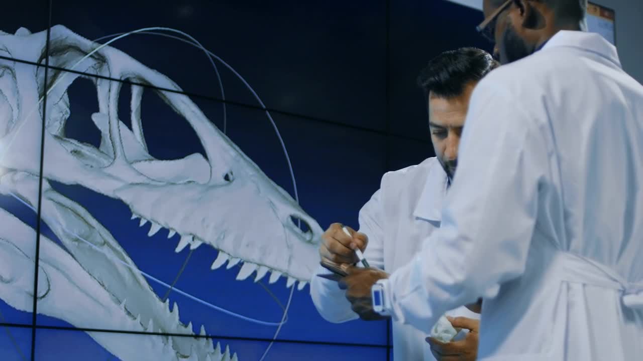 Stock Video Conversation About Dinosaurs Skull Live Wallpaper For PC