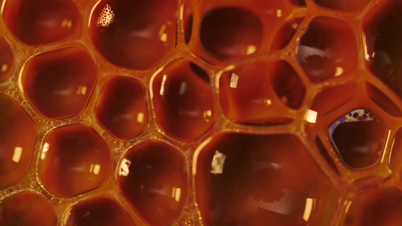 Stock Video Contaminated Liquid Texture Live Wallpaper For PC