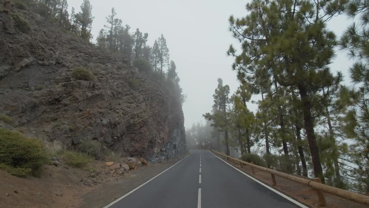 Stock Video Conifers Amongst Low Clouds Live Wallpaper For PC