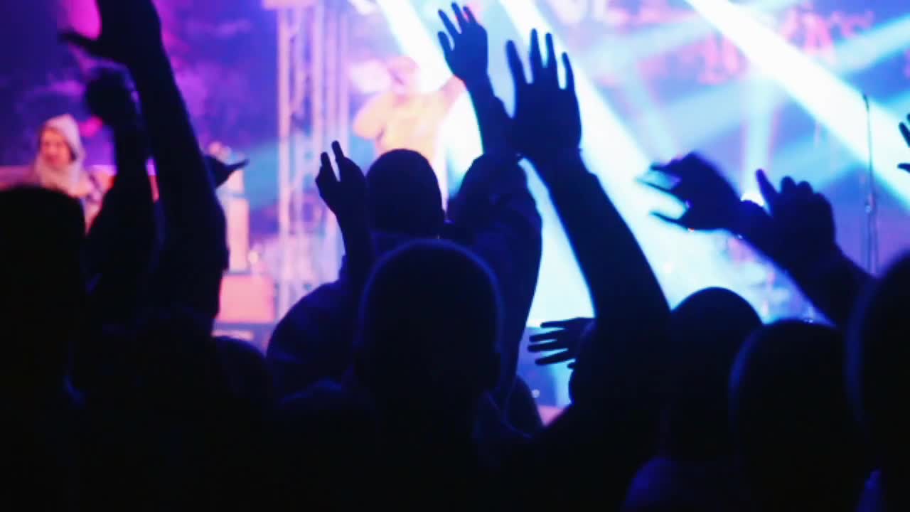 Stock Video Concert Crowd Jumping And Cheering Live Wallpaper For PC