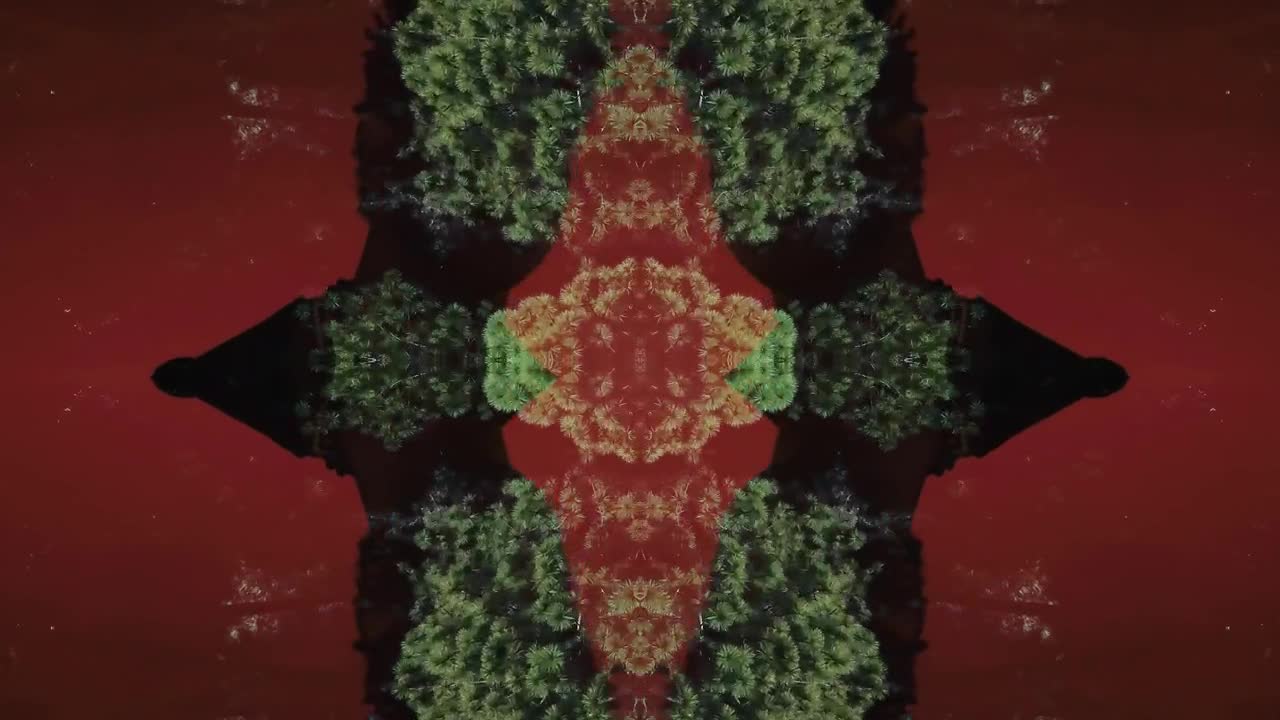 Stock Video Conceptual Nature Shot Live Wallpaper For PC