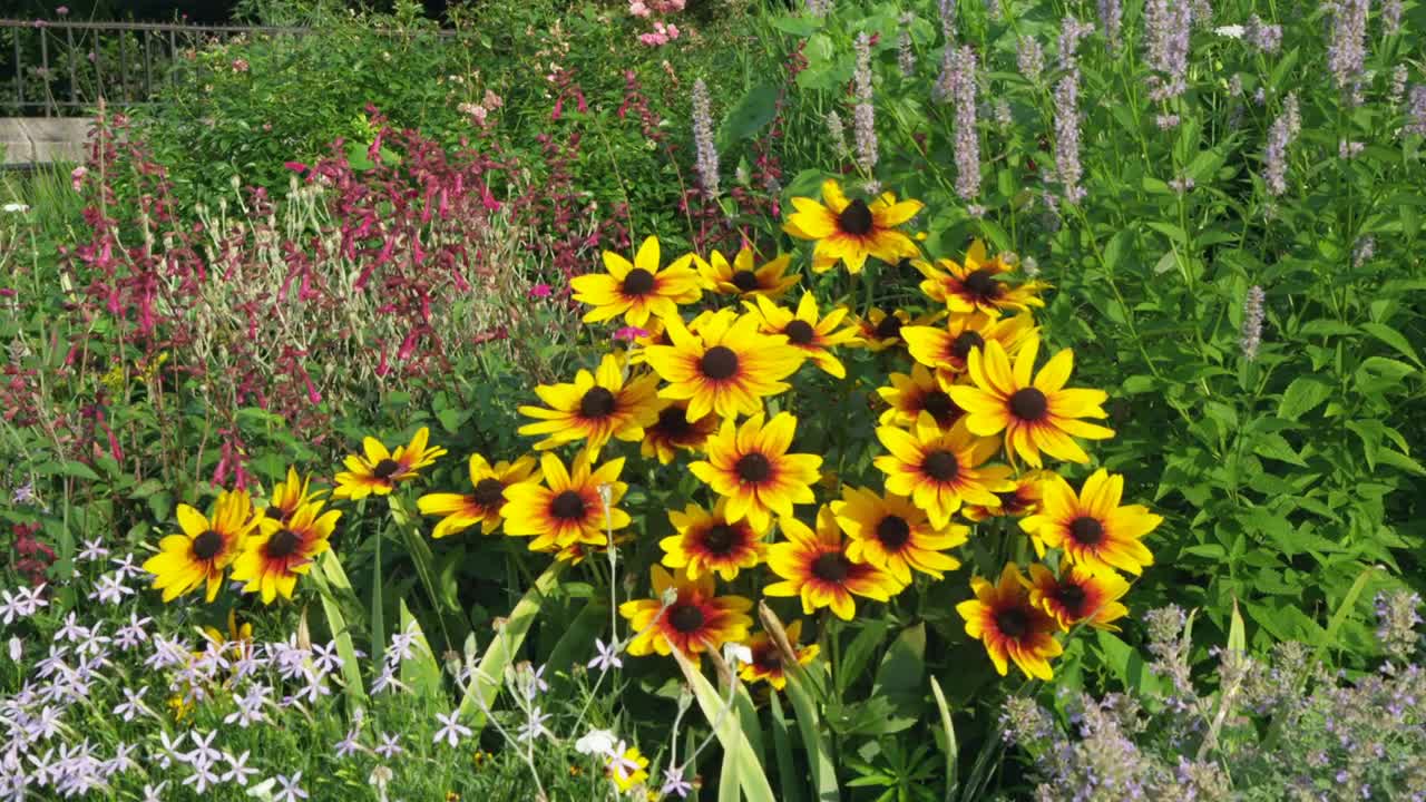 Stock Video Community Garden Of Wildflowers Live Wallpaper For PC