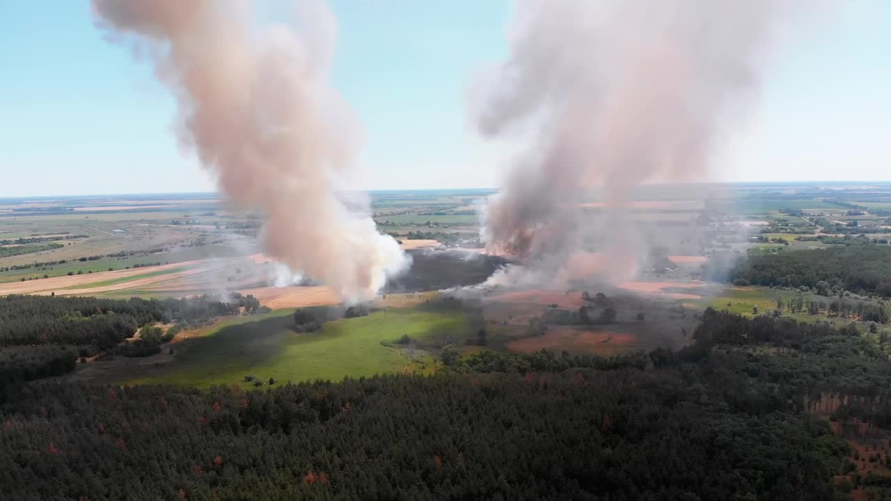 Stock Video Columns Of Smoke In A Forest Aerial Shot Live Wallpaper For PC