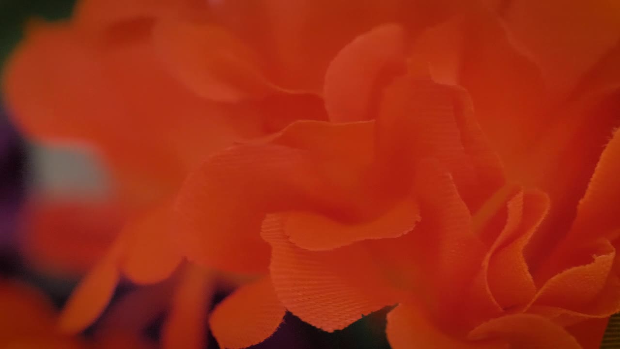 Stock Video Colorful Artificial Flowers Detail View Live Wallpaper For PC