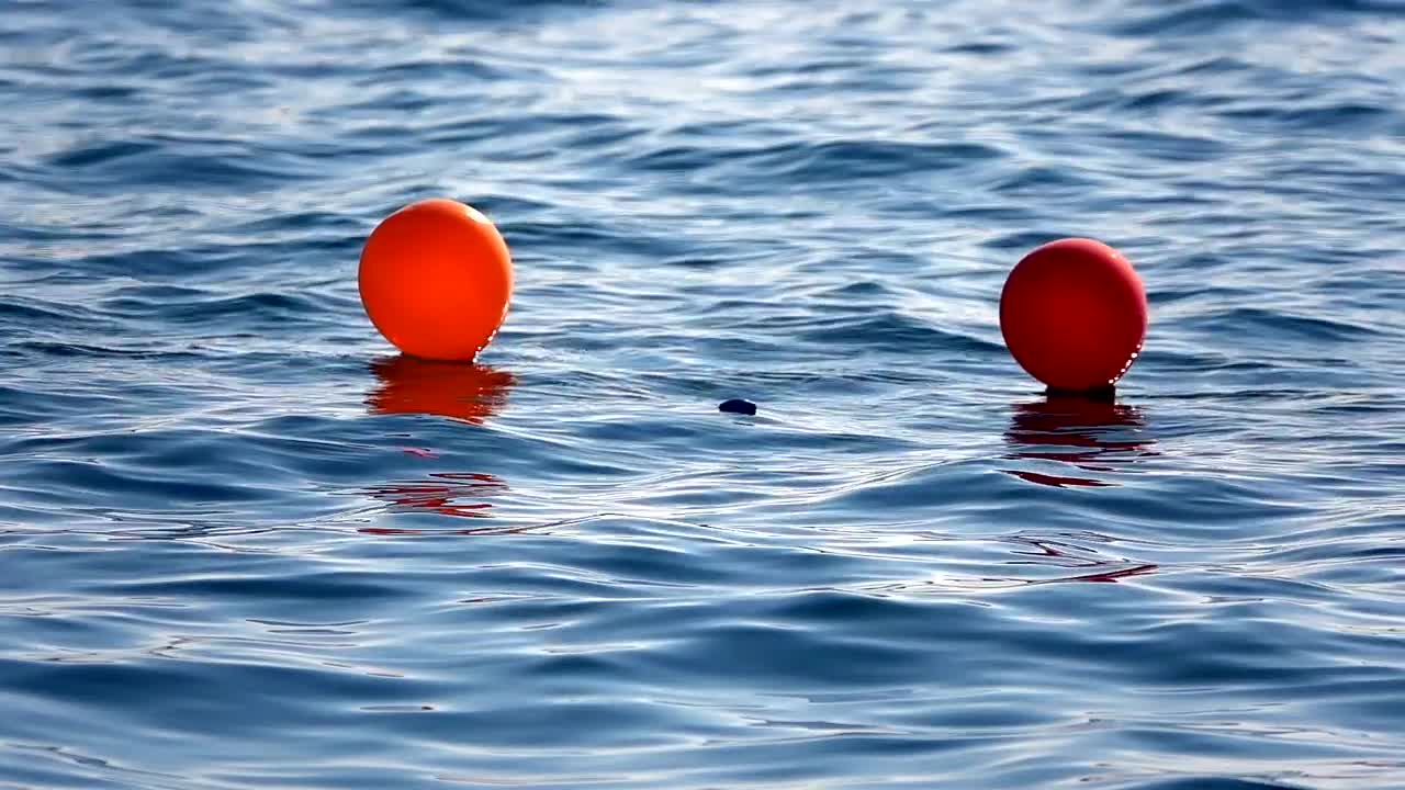 Stock Video Colored Balloons On The Sea Live Wallpaper For PC