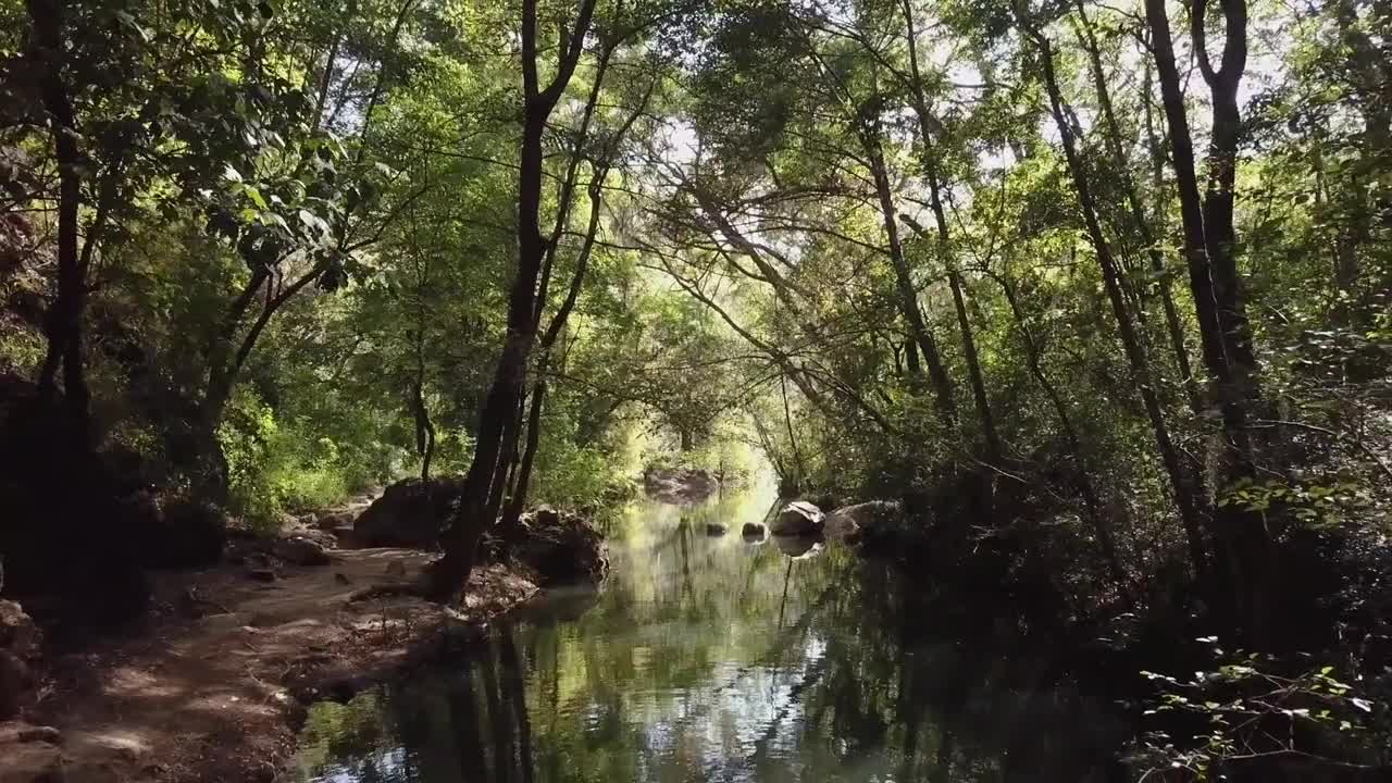 Stock Video Color Distortion Glitch Live Wallpaper For PC