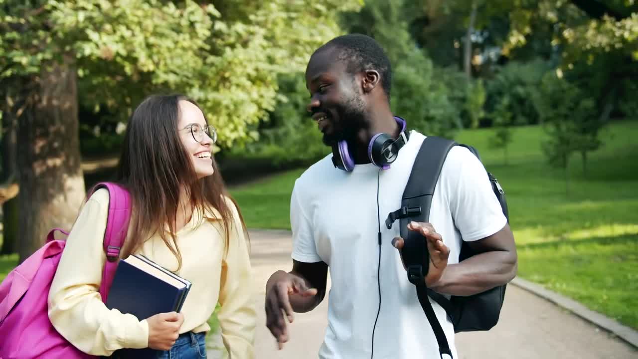 Stock Video College Classmates Talking At The Park Live Wallpaper For PC
