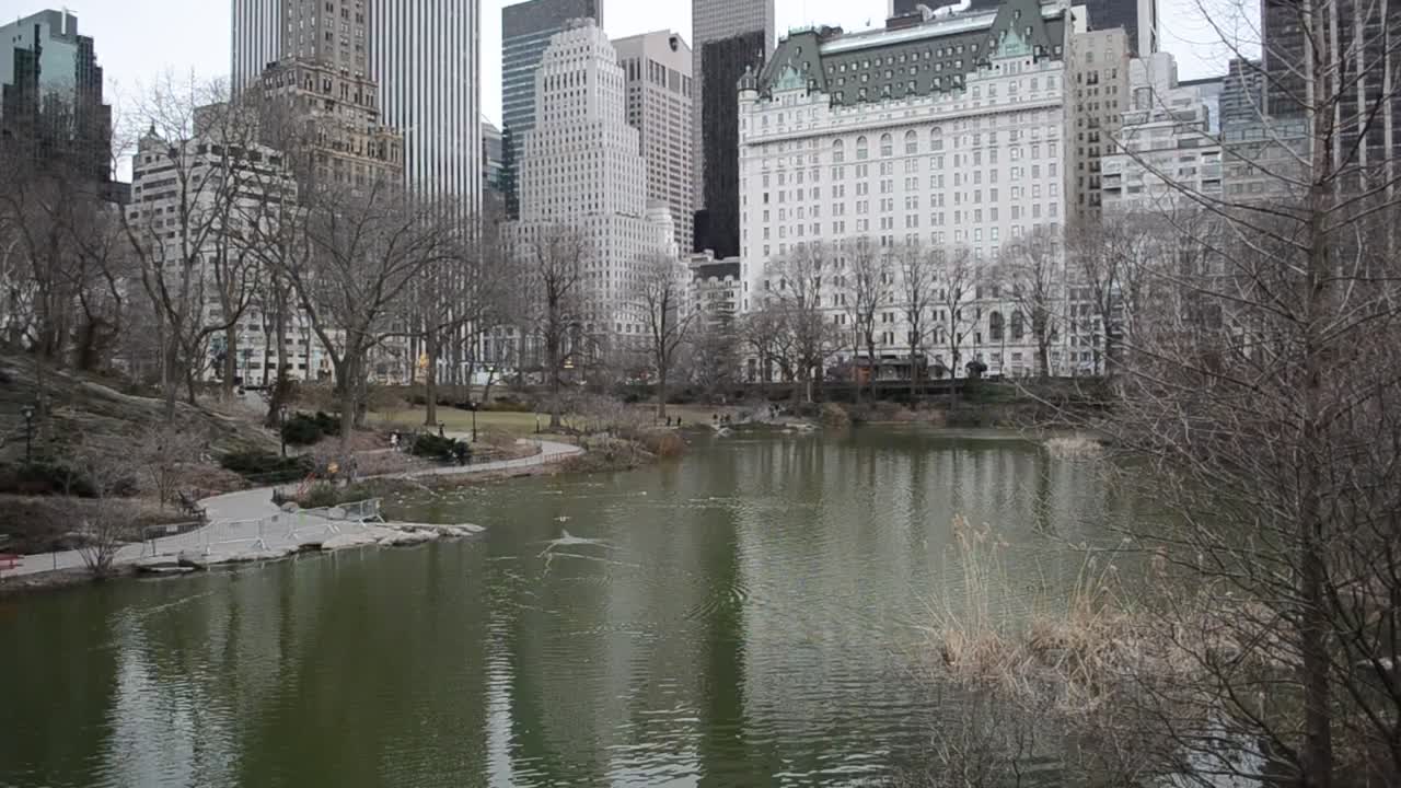 Stock Video Cold Morning In A City Park Live Wallpaper For PC