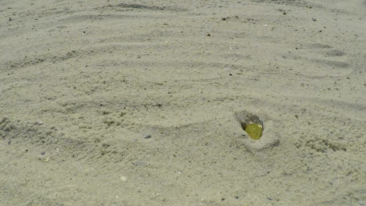 Stock Video Coins Falling On The Sunny Sand Live Wallpaper For PC