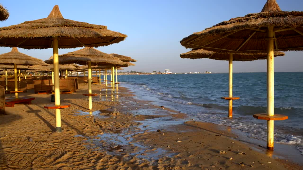 Stock Video Coastal Resort Umbrellas Live Wallpaper For PC