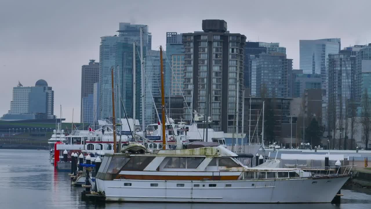 Stock Video Coast Of A Big City Live Wallpaper For PC