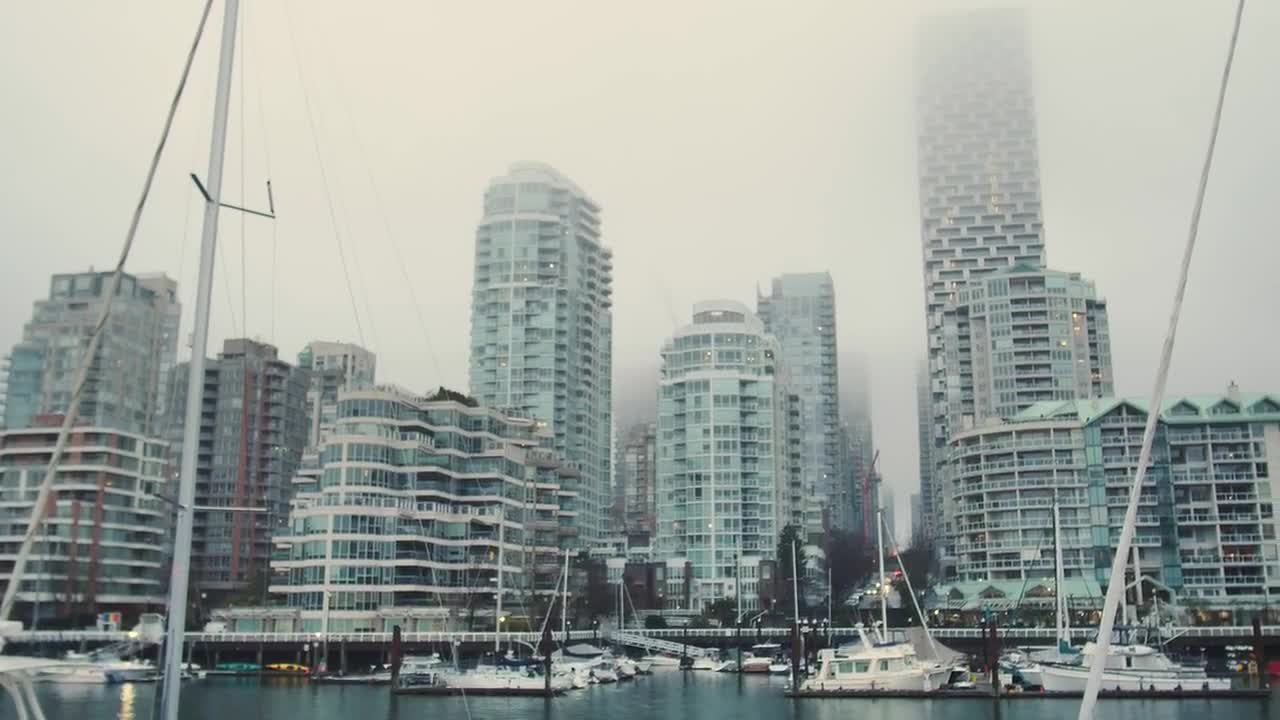 Stock Video Coast In A City Covered By Fog Live Wallpaper For PC