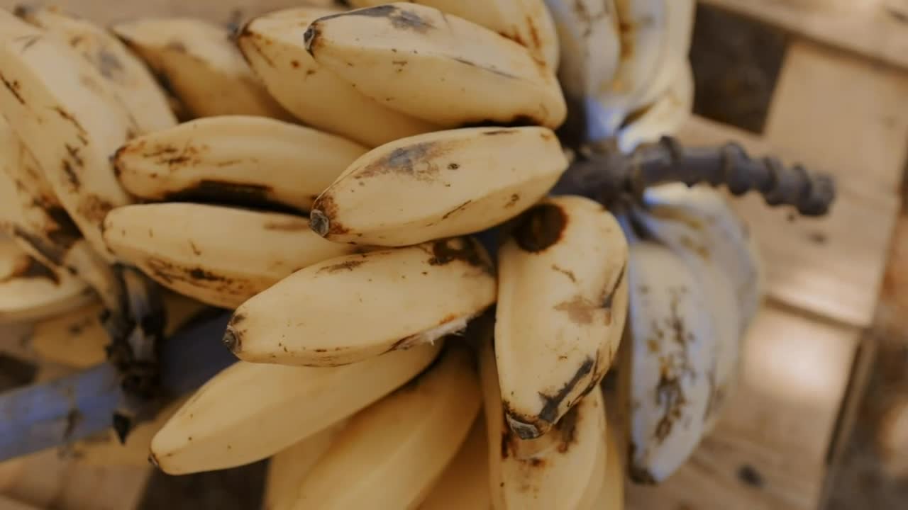 Stock Video Cluster Of Small Bananas Closeup Live Wallpaper For PC