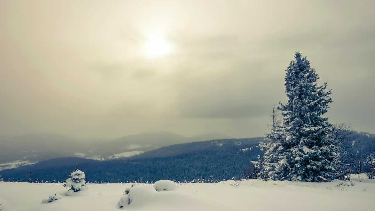 Stock Video Cloudy And Foggy Landscape While Snowing Live Wallpaper For PC