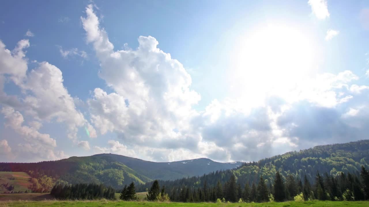 Stock Video Clouds Traveling Over A Pine Forest Live Wallpaper For PC
