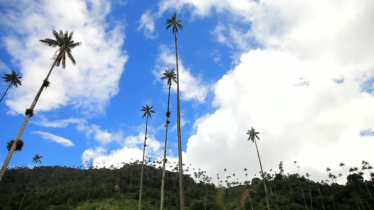 Stock Video Clouds Over Nature Low View Live Wallpaper For PC