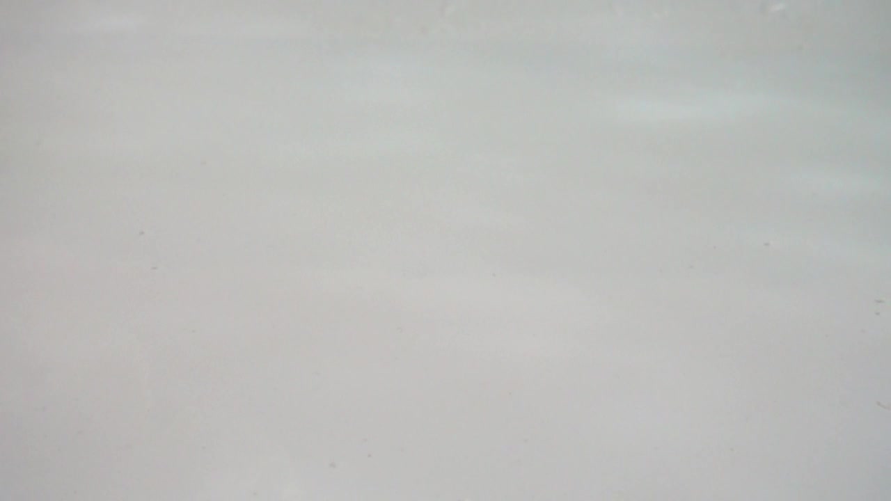 Stock Video Falling Cauliflowers Live Wallpaper For PC