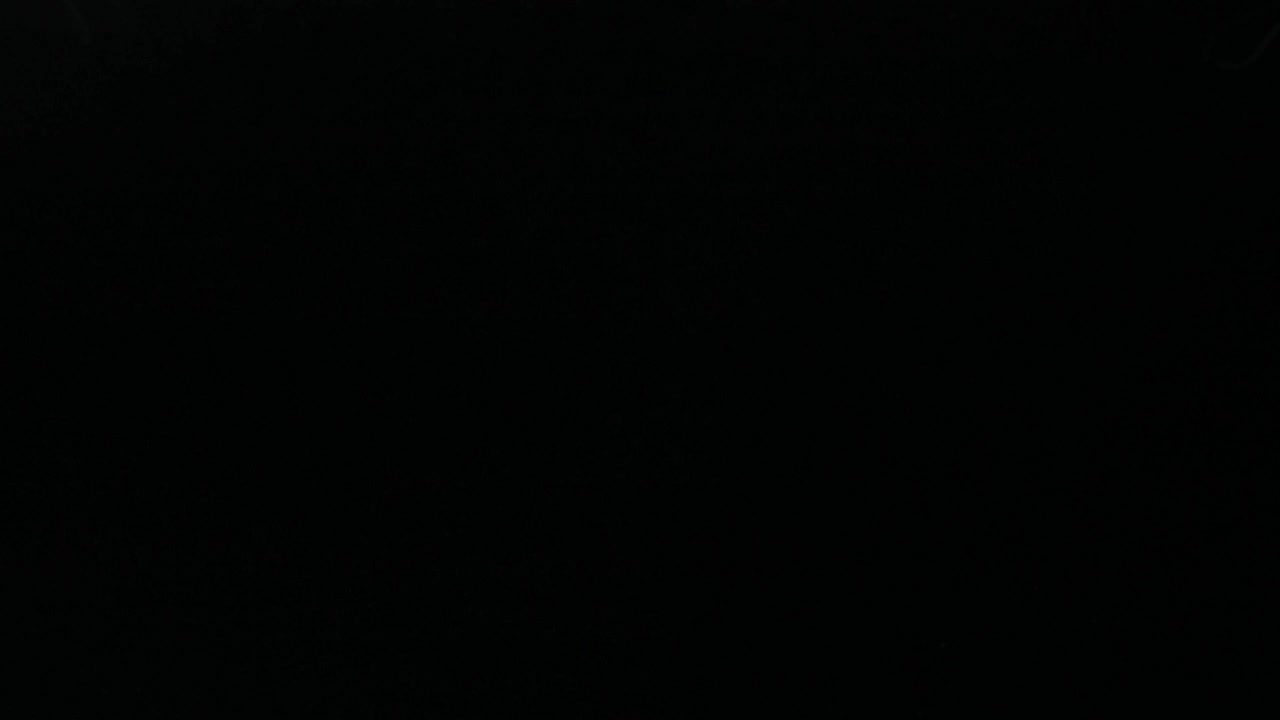 Stock Video Falling Carrot Slices Live Wallpaper For PC