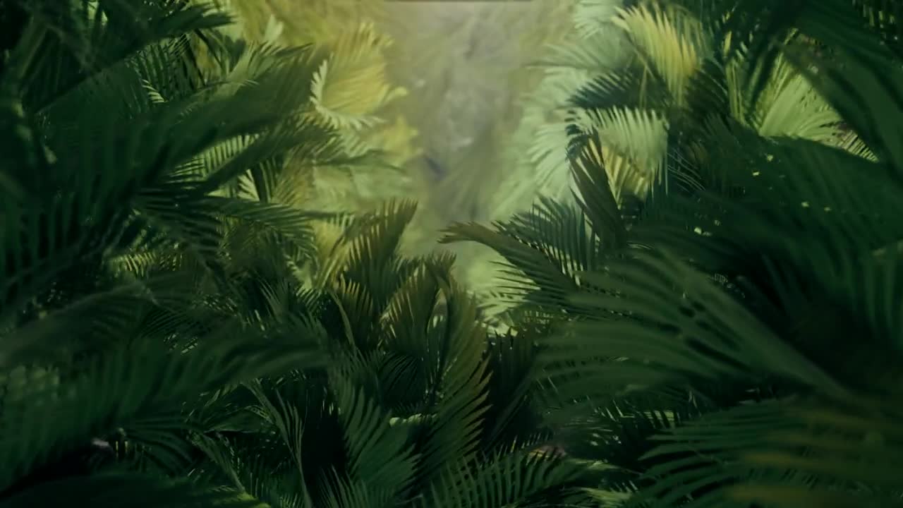 Stock Video Exploring The Jungle Among Plants And Palm Trees Live Wallpaper For PC