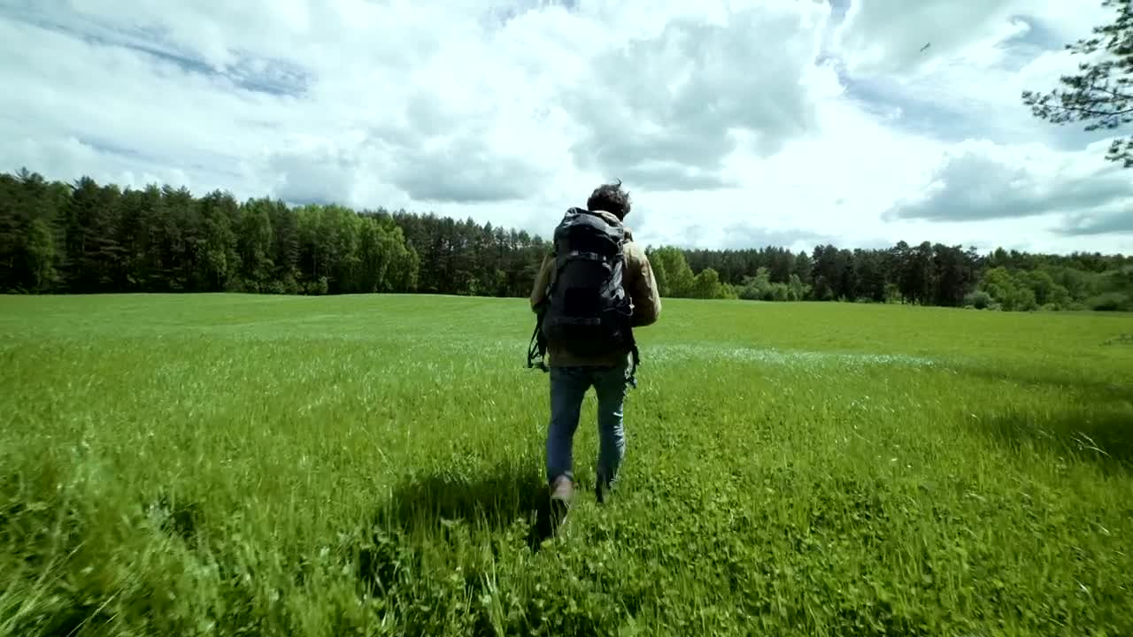 Stock Video Explorer Walking In A Green Meadow Live Wallpaper For PC
